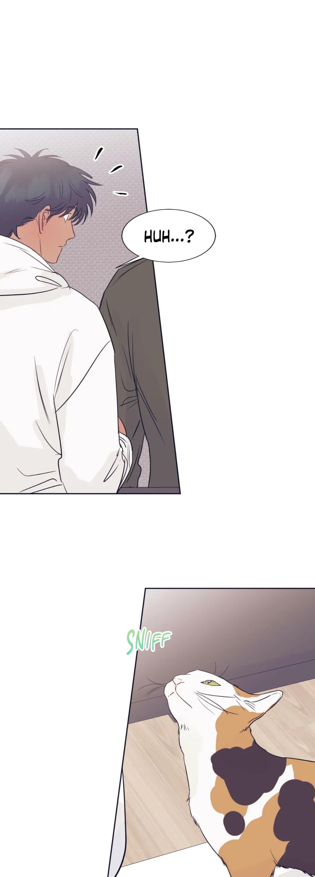 Absolutely Ruined Love Chapter 19 - HolyManga.Net