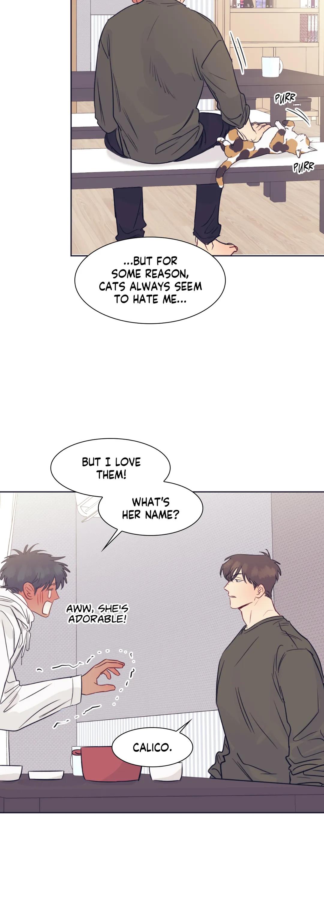 Absolutely Ruined Love Chapter 19 - HolyManga.Net