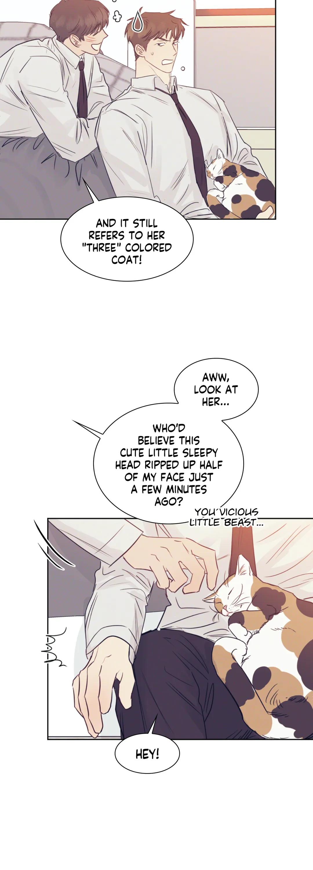 Absolutely Ruined Love Chapter 19 - HolyManga.Net