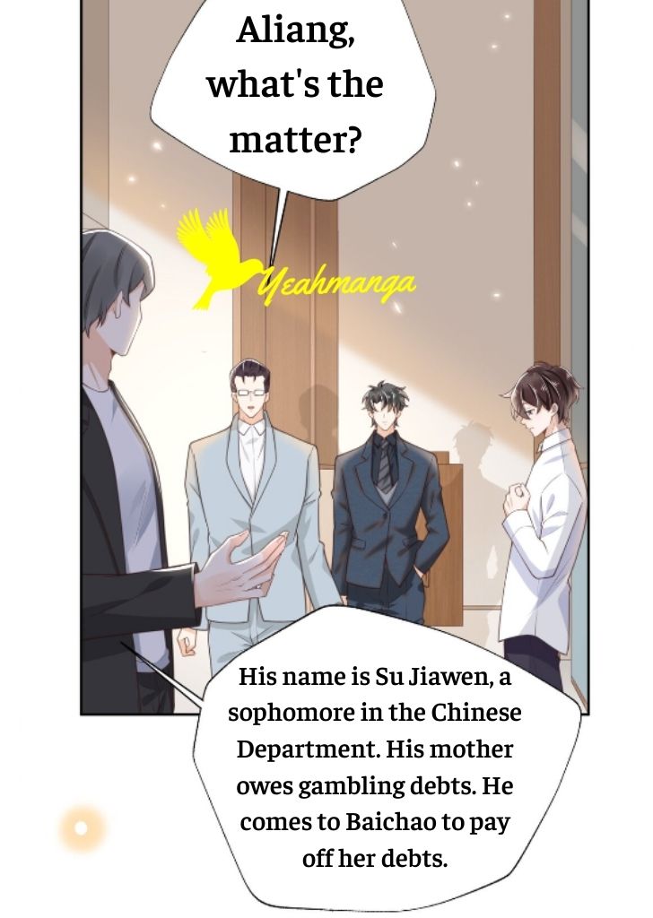 My Gangster Wife Is Always Against Me Chapter 1 - HolyManga.Net