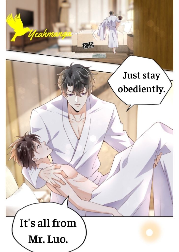 My Gangster Wife Is Always Against Me Chapter 2 - HolyManga.Net