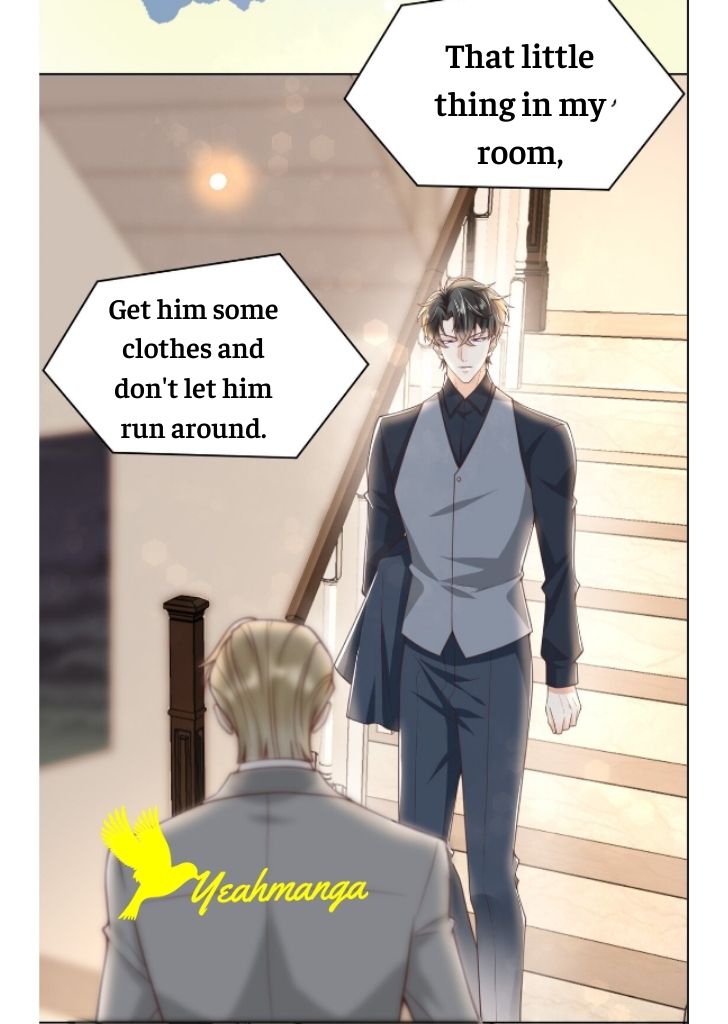 My Gangster Wife Is Always Against Me Chapter 4 - HolyManga.Net