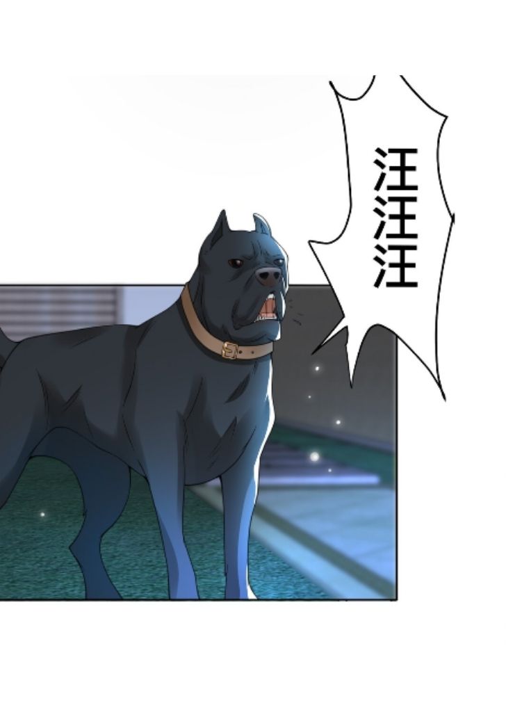 My Gangster Wife Is Always Against Me Chapter 5 - HolyManga.Net