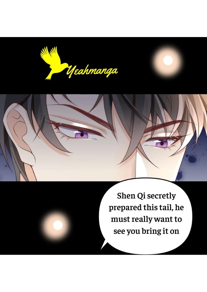 My Gangster Wife Is Always Against Me Chapter 11 - HolyManga.Net