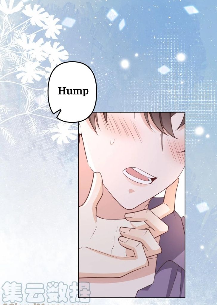 My Gangster Wife Is Always Against Me Chapter 11 - HolyManga.Net