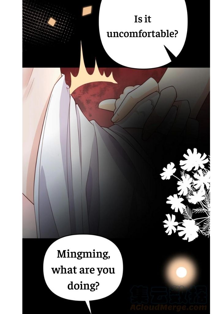 My Gangster Wife Is Always Against Me Chapter 11 - HolyManga.Net