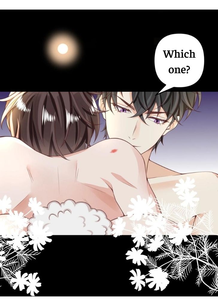 My Gangster Wife Is Always Against Me Chapter 11 - HolyManga.Net