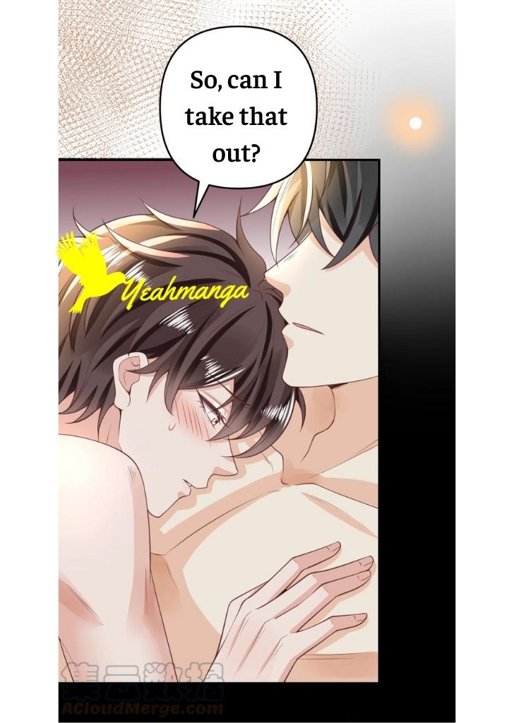 My Gangster Wife Is Always Against Me Chapter 11 - HolyManga.Net