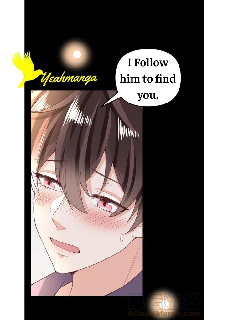 My Gangster Wife Is Always Against Me Chapter 11 - HolyManga.Net