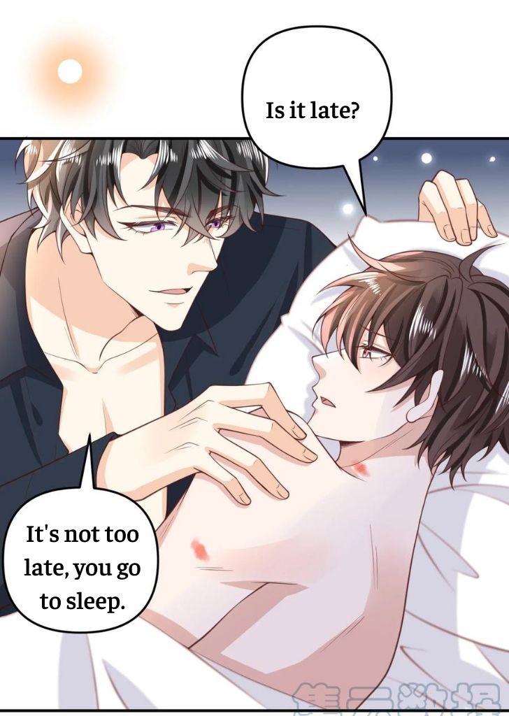 My Gangster Wife Is Always Against Me Chapter 12 - HolyManga.Net