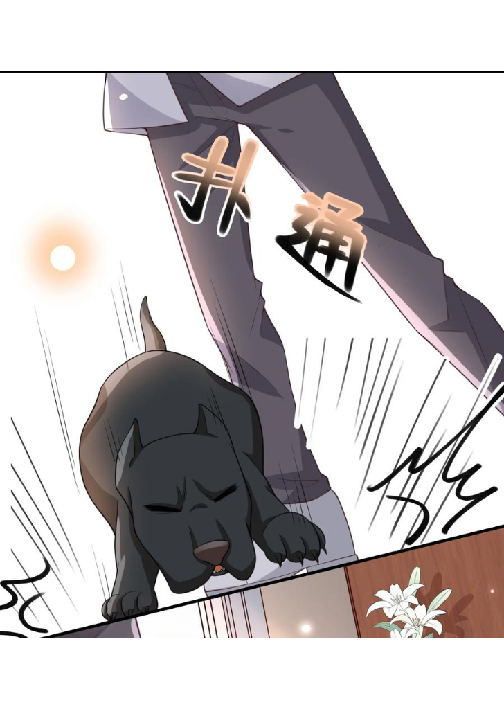 My Gangster Wife Is Always Against Me Chapter 13 - HolyManga.Net
