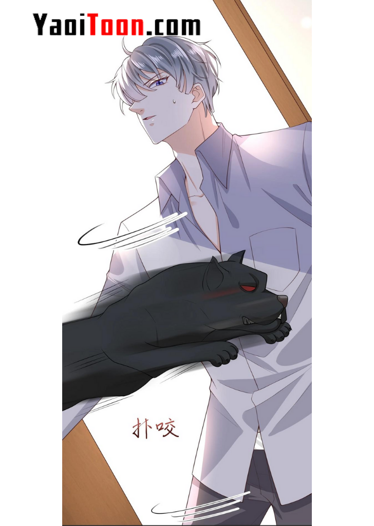 My Gangster Wife Is Always Against Me Chapter 13 - HolyManga.Net