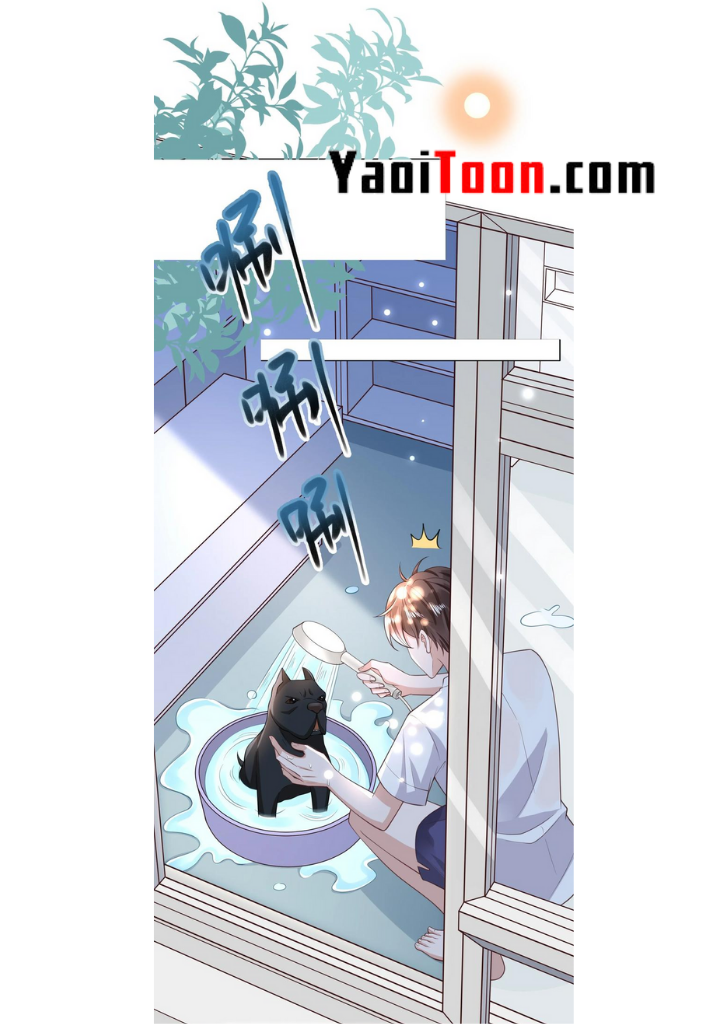 My Gangster Wife Is Always Against Me Chapter 13 - HolyManga.Net