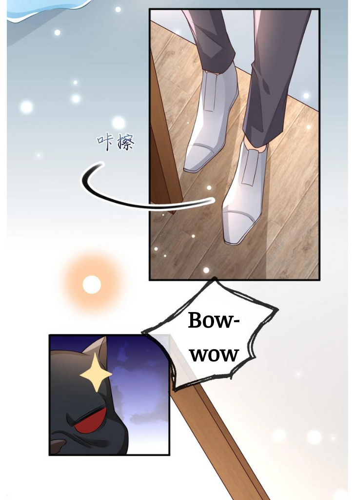 My Gangster Wife Is Always Against Me Chapter 13 - HolyManga.Net