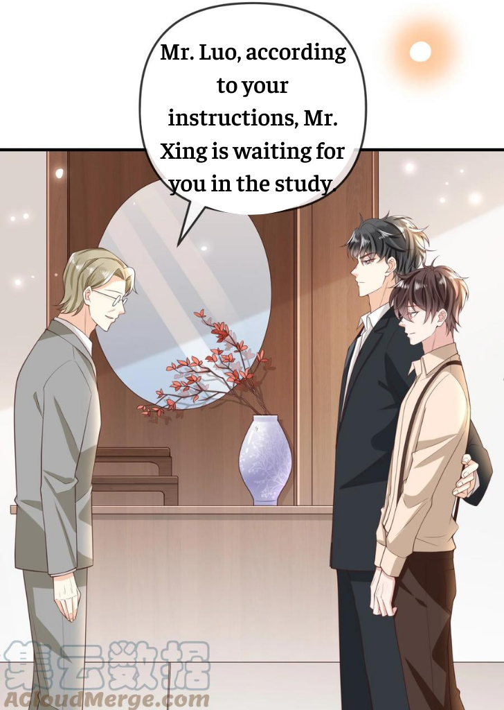 My Gangster Wife Is Always Against Me Chapter 13 - HolyManga.Net