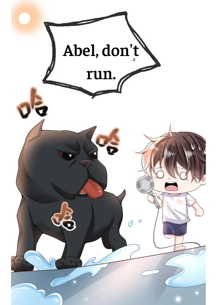 My Gangster Wife Is Always Against Me Chapter 13 - HolyManga.Net