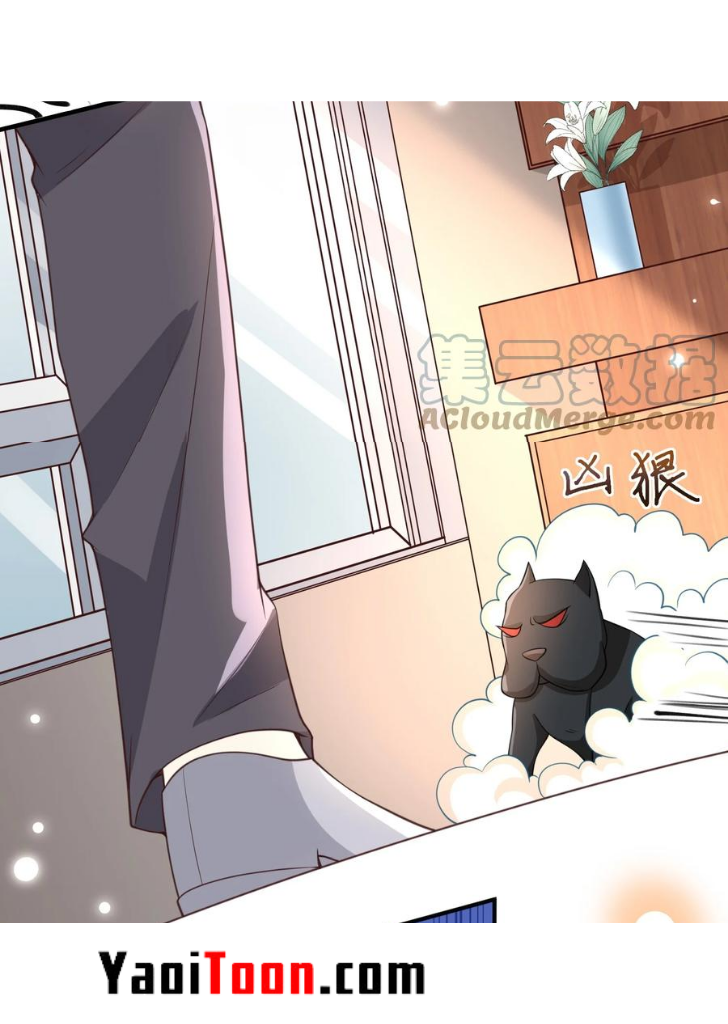 My Gangster Wife Is Always Against Me Chapter 13 - HolyManga.Net