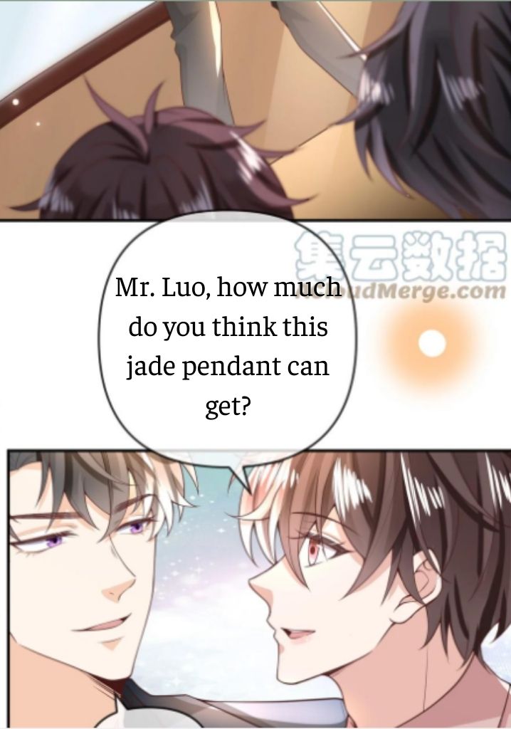 My Gangster Wife Is Always Against Me Chapter 14 - HolyManga.Net