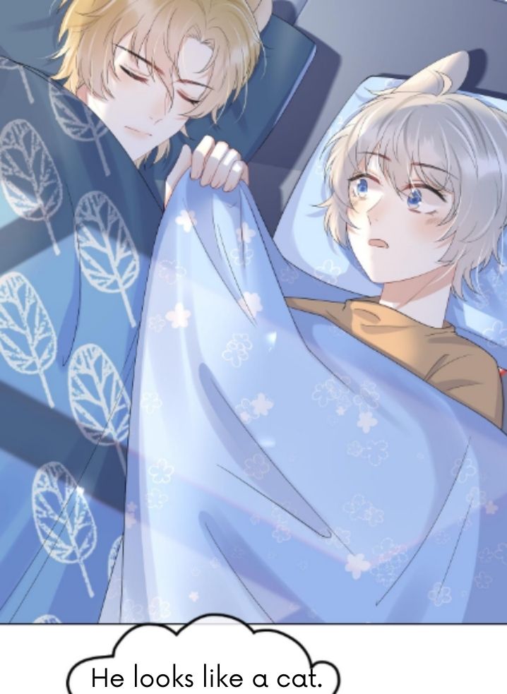 The Tiger Want To Eat The Baby Rabbit. Chapter 14 - HolyManga.Net