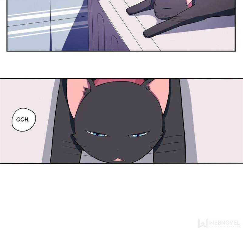 My Boss Is a Vampire Turned Cat Chapter 1 - HolyManga.Net