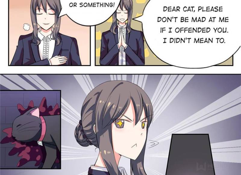 My Boss Is a Vampire Turned Cat Chapter 1 - HolyManga.Net