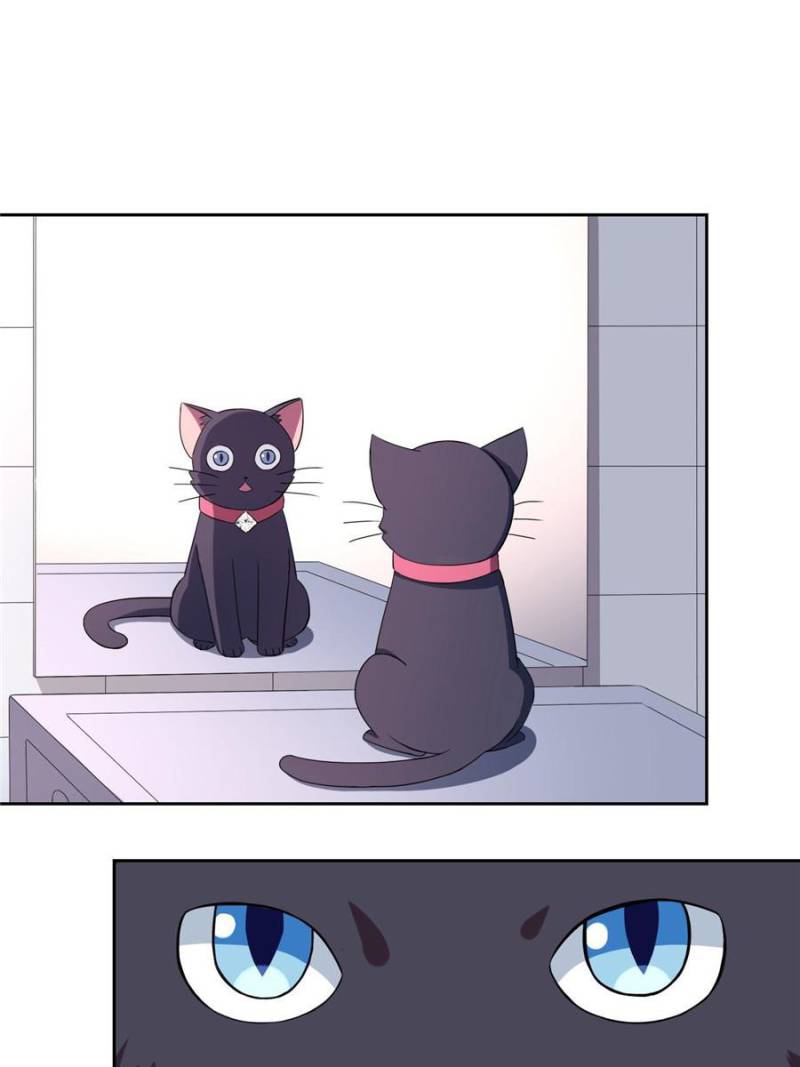 My Boss Is a Vampire Turned Cat Chapter 1 - HolyManga.Net
