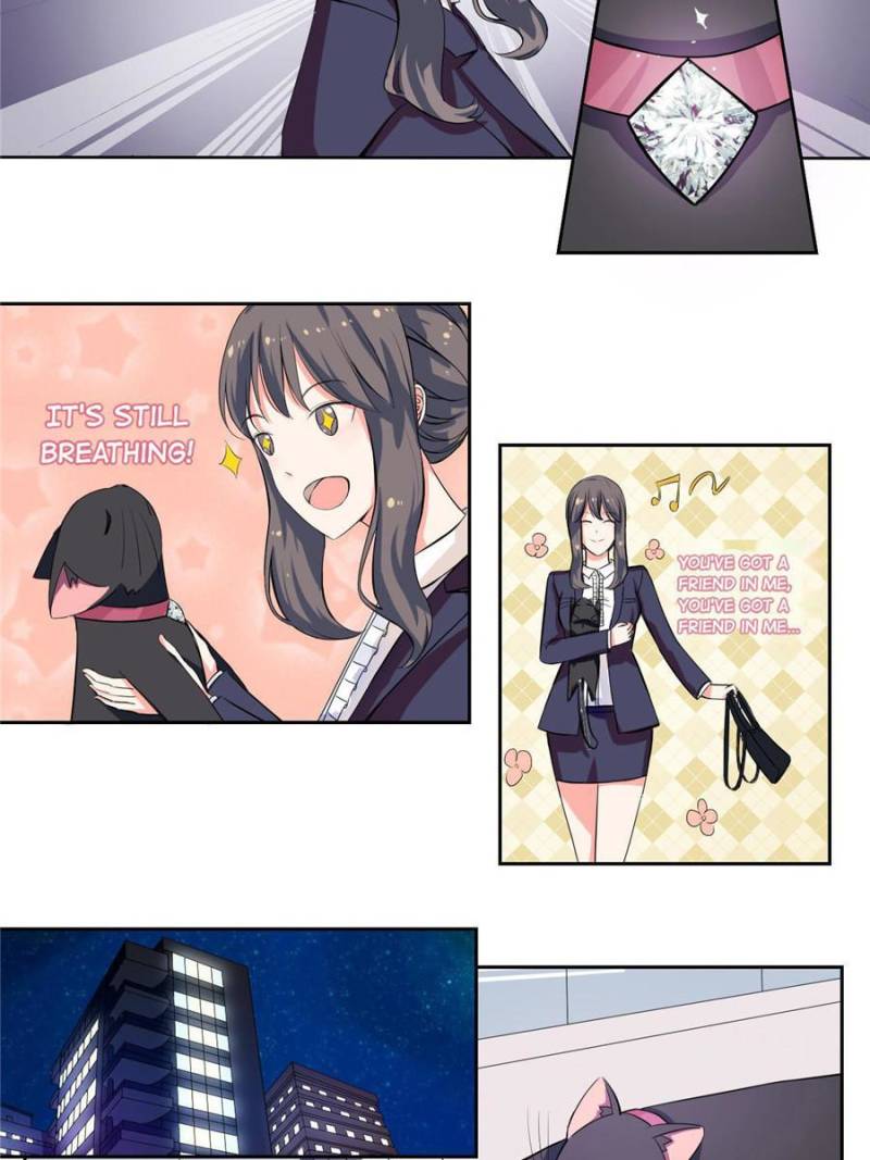 My Boss Is a Vampire Turned Cat Chapter 1 - HolyManga.Net
