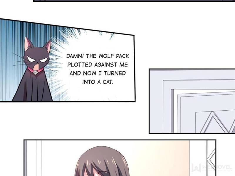My Boss Is a Vampire Turned Cat Chapter 1 - HolyManga.Net