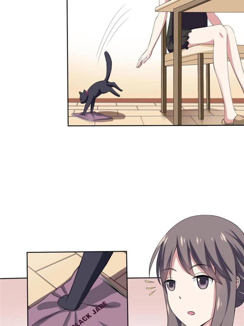 My Boss Is a Vampire Turned Cat Chapter 2 - HolyManga.Net