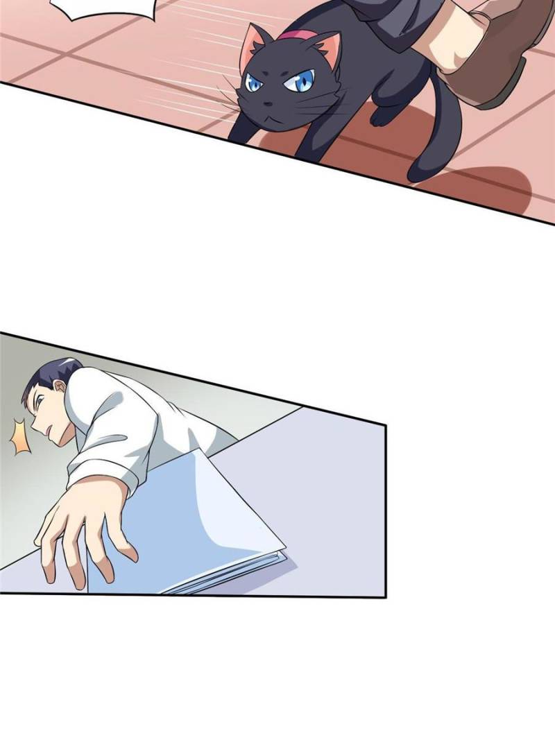 My Boss Is a Vampire Turned Cat Chapter 4 - HolyManga.Net