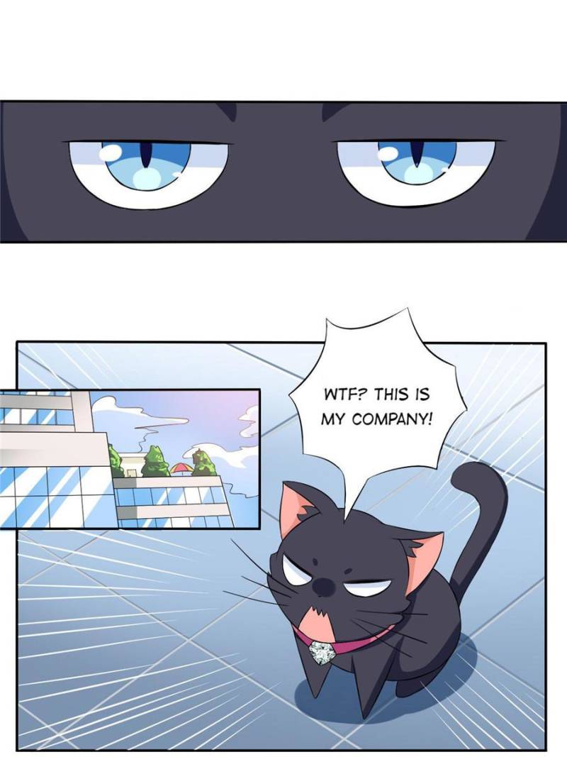 My Boss Is a Vampire Turned Cat Chapter 4 - HolyManga.Net