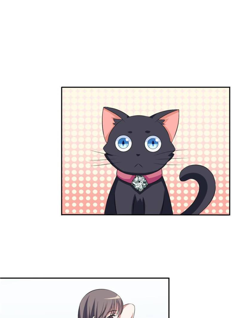 My Boss Is a Vampire Turned Cat Chapter 5 - HolyManga.Net