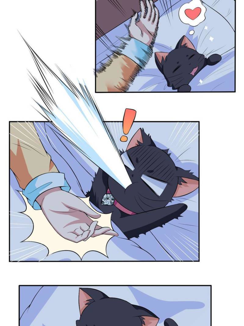 My Boss Is a Vampire Turned Cat Chapter 6 - HolyManga.Net