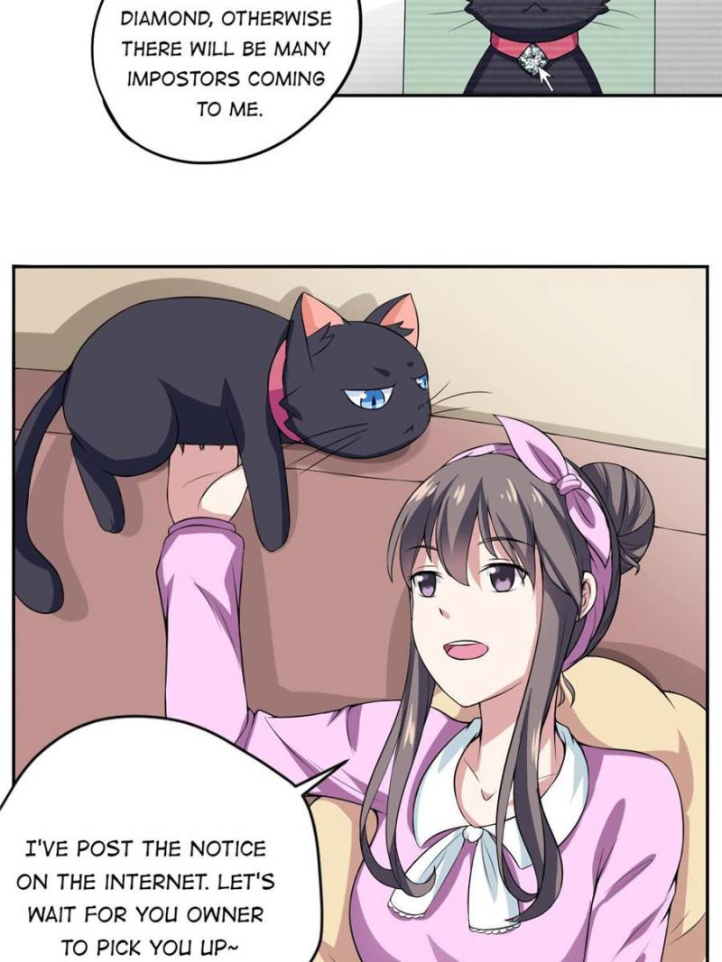 My Boss Is a Vampire Turned Cat Chapter 6 - HolyManga.Net