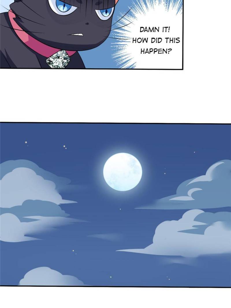 My Boss Is a Vampire Turned Cat Chapter 7 - HolyManga.Net