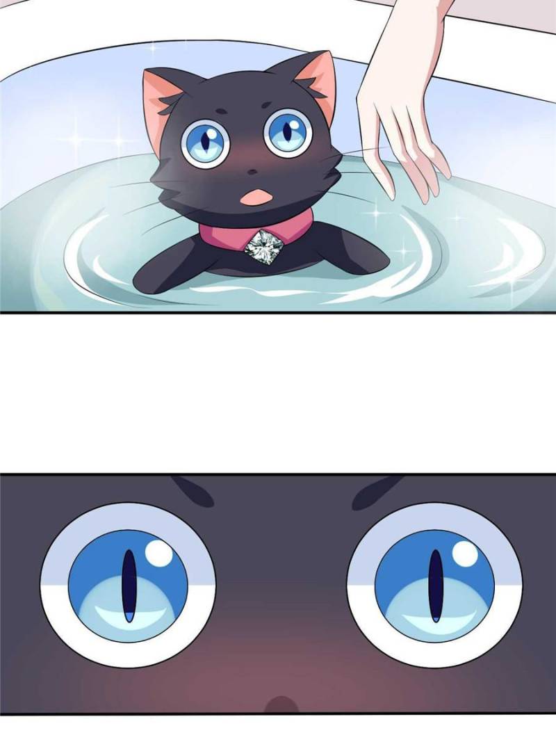 My Boss Is a Vampire Turned Cat Chapter 15 - HolyManga.Net