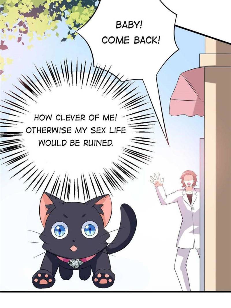 My Boss Is a Vampire Turned Cat Chapter 24 - HolyManga.Net