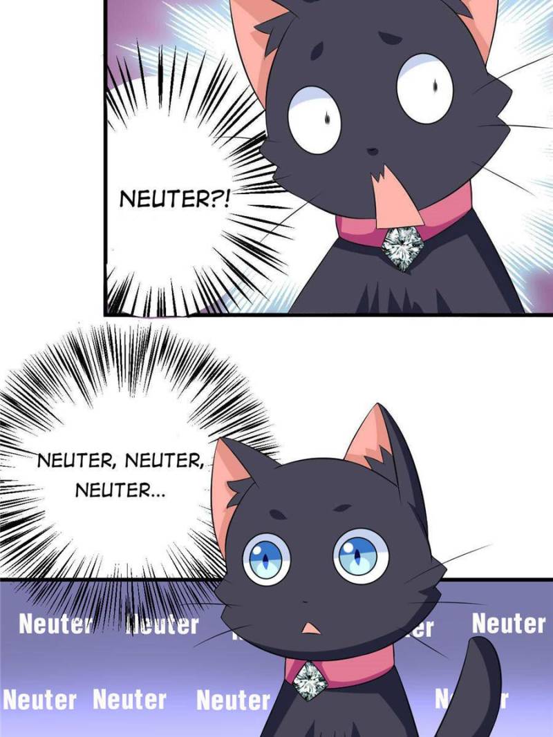 My Boss Is a Vampire Turned Cat Chapter 24 - HolyManga.Net