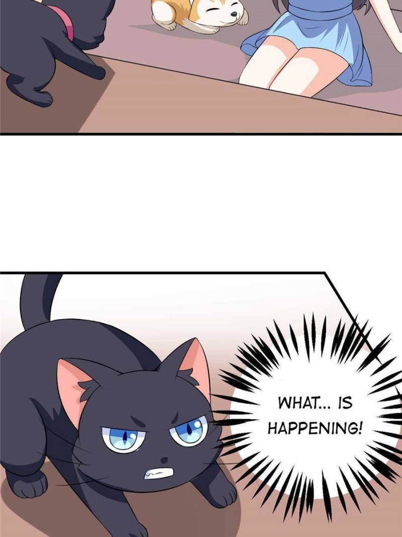 My Boss Is a Vampire Turned Cat Chapter 25 - HolyManga.Net