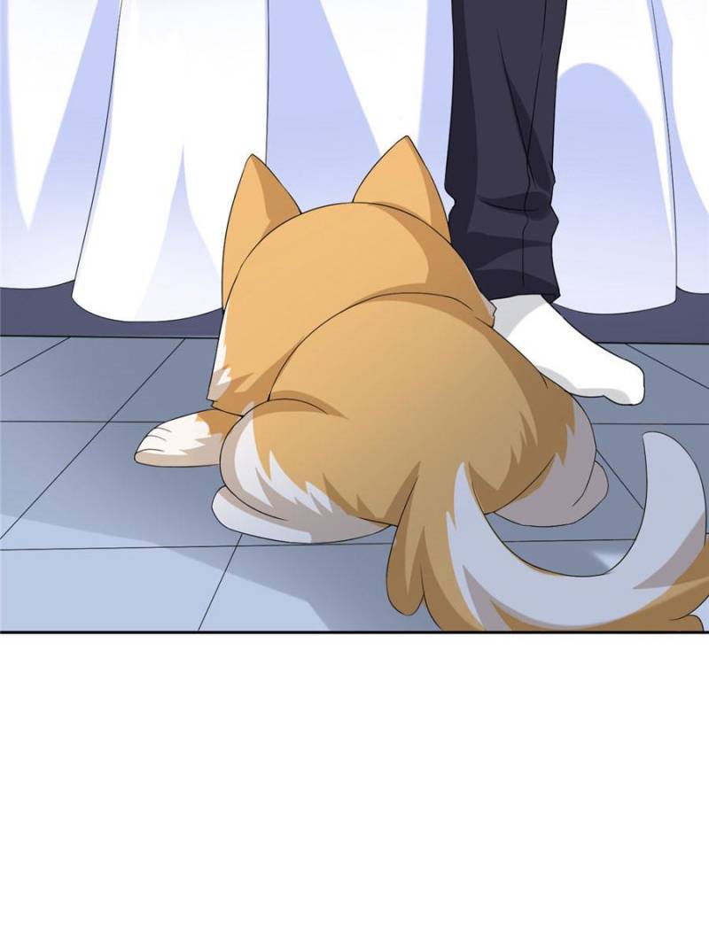 My Boss Is a Vampire Turned Cat Chapter 26 - HolyManga.Net
