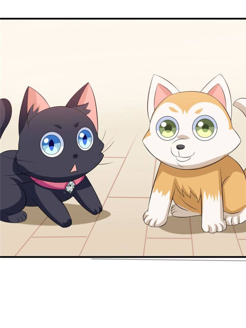 My Boss Is a Vampire Turned Cat Chapter 27 - HolyManga.Net