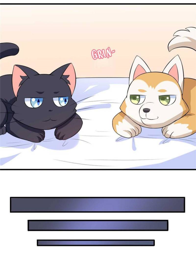 My Boss Is a Vampire Turned Cat Chapter 30 - HolyManga.Net