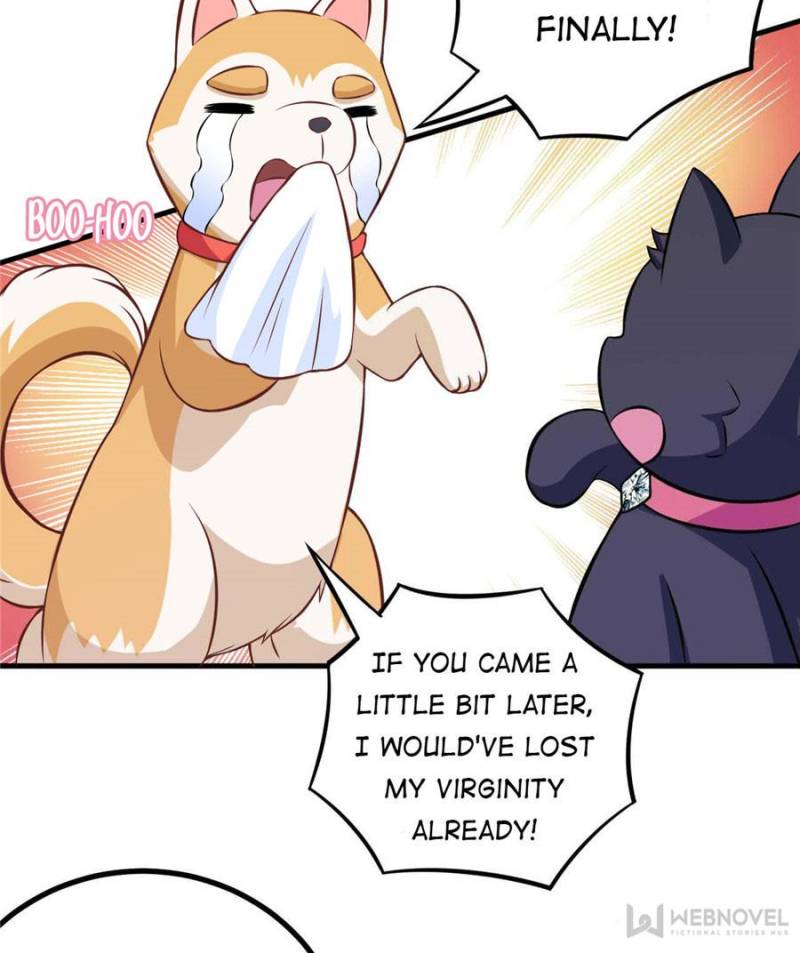 My Boss Is a Vampire Turned Cat Chapter 82 - HolyManga.Net
