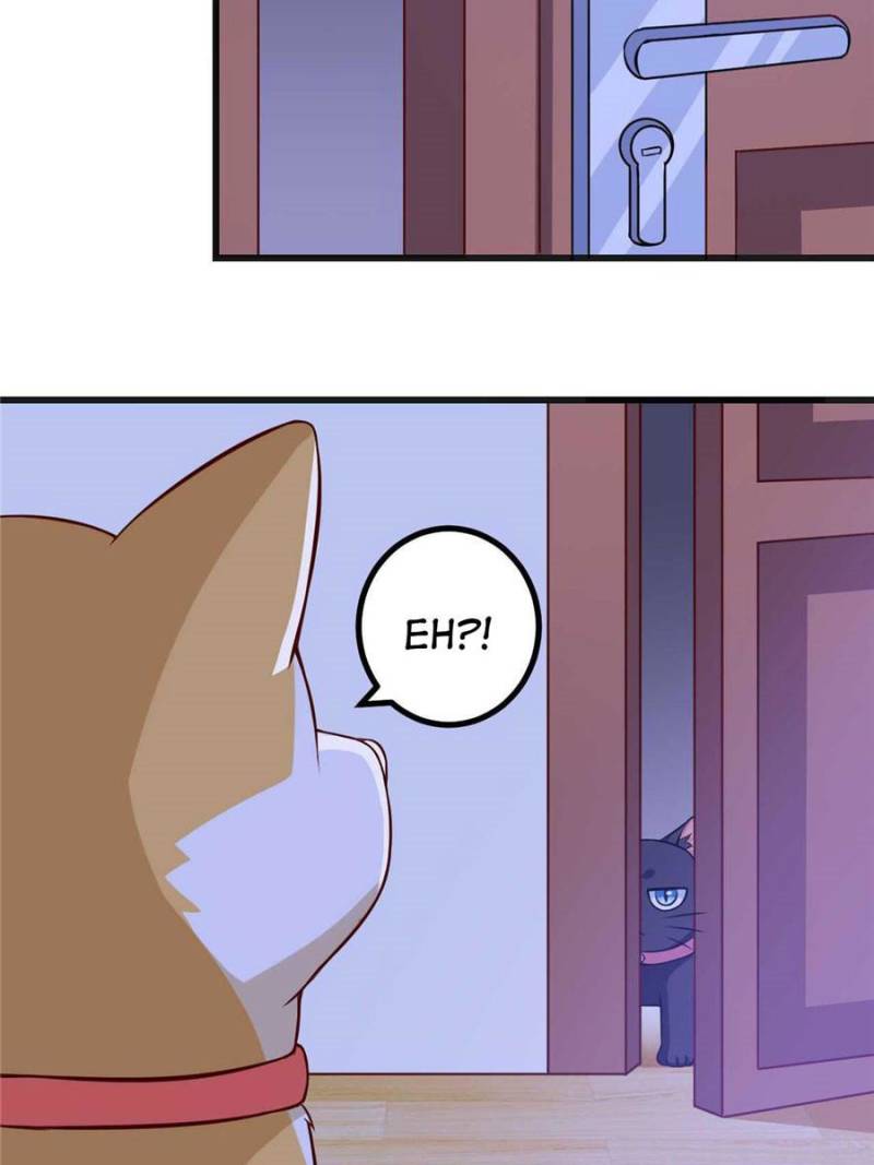 My Boss Is a Vampire Turned Cat Chapter 82 - HolyManga.Net