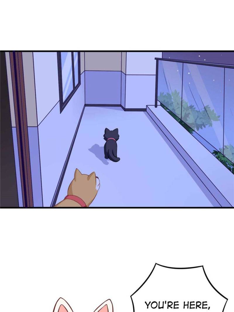 My Boss Is a Vampire Turned Cat Chapter 82 - HolyManga.Net