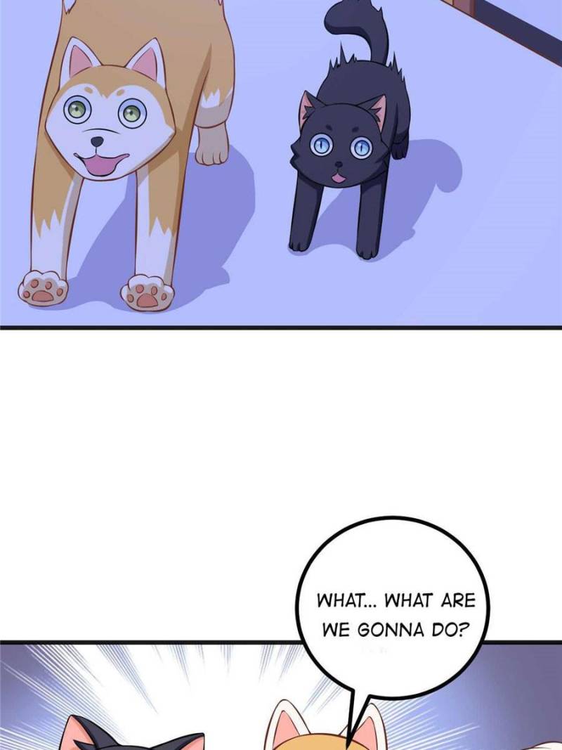 My Boss Is a Vampire Turned Cat Chapter 82 - HolyManga.Net