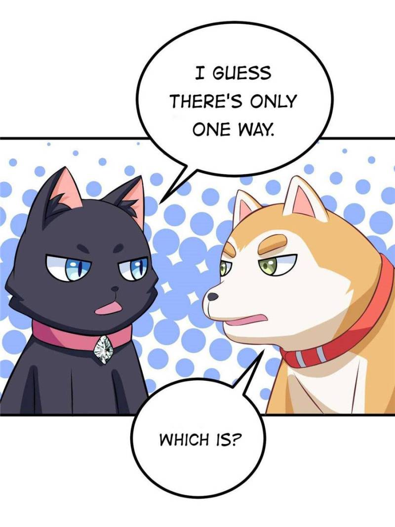 My Boss Is a Vampire Turned Cat Chapter 83 - HolyManga.Net