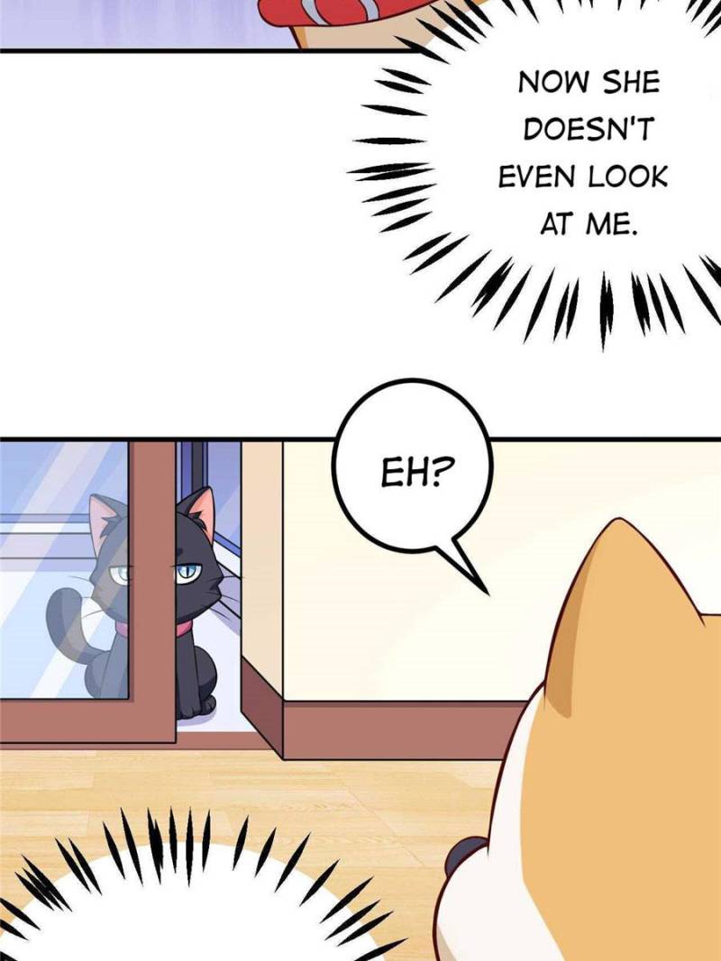 My Boss Is a Vampire Turned Cat Chapter 85 - HolyManga.Net