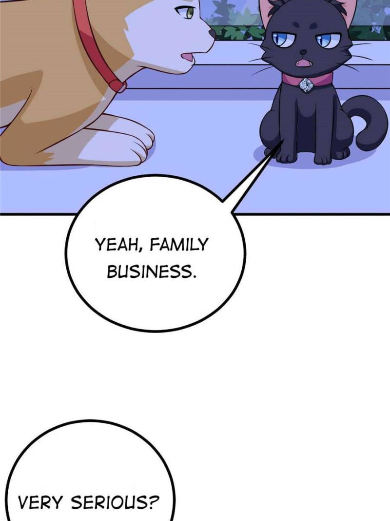 My Boss Is a Vampire Turned Cat Chapter 85 - HolyManga.Net