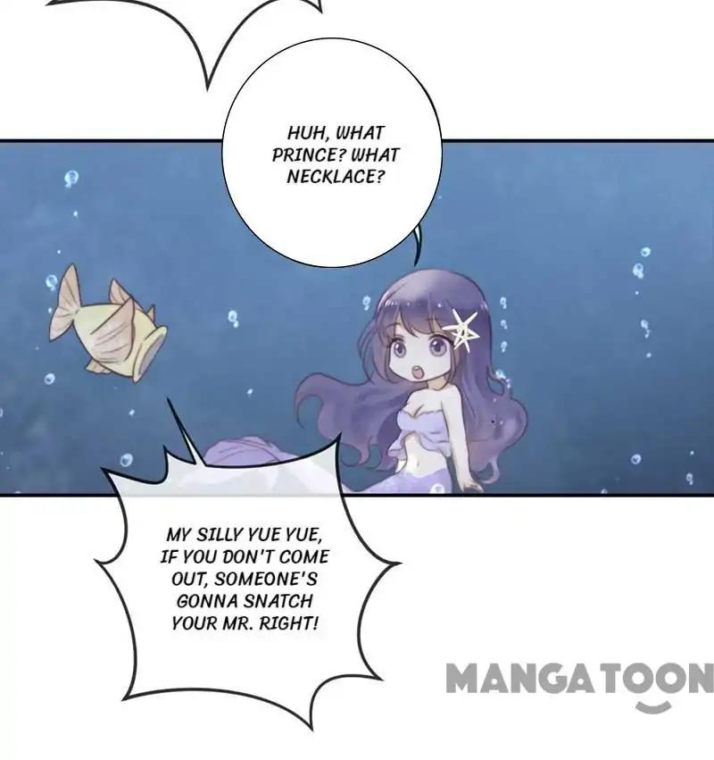 Don